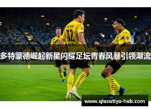 多特蒙德崛起新星闪耀足坛青春风暴引领潮流