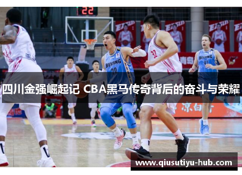 四川金强崛起记 CBA黑马传奇背后的奋斗与荣耀