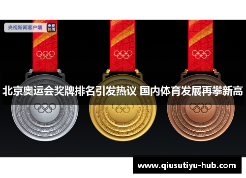 北京奥运会奖牌排名引发热议 国内体育发展再攀新高